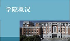 智汇青春