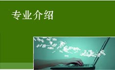 交叉赋能